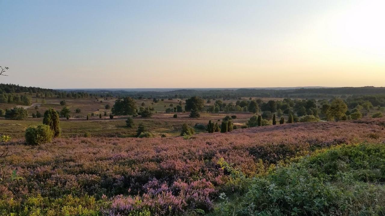 Ferienwohnung Parkblick سولتو المظهر الخارجي الصورة